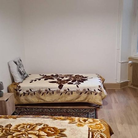 Grand 4P Strasbourg Orangerie 7 Personnes Proche D Allemagne المظهر الخارجي الصورة