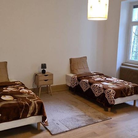 Grand 4P Strasbourg Orangerie 7 Personnes Proche D Allemagne المظهر الخارجي الصورة