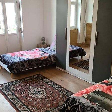 Grand 4P Strasbourg Orangerie 7 Personnes Proche D Allemagne المظهر الخارجي الصورة