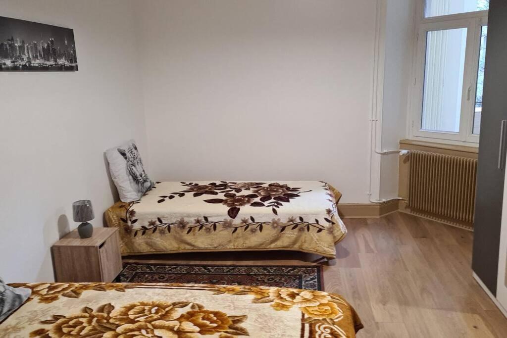 Grand 4P Strasbourg Orangerie 7 Personnes Proche D Allemagne المظهر الخارجي الصورة