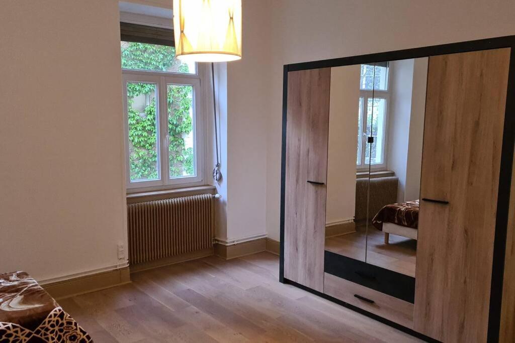 Grand 4P Strasbourg Orangerie 7 Personnes Proche D Allemagne المظهر الخارجي الصورة